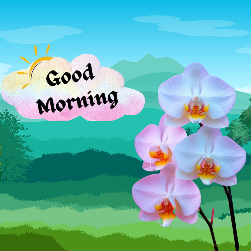 Orchids and Good Morning text with scenic mountain background illustration