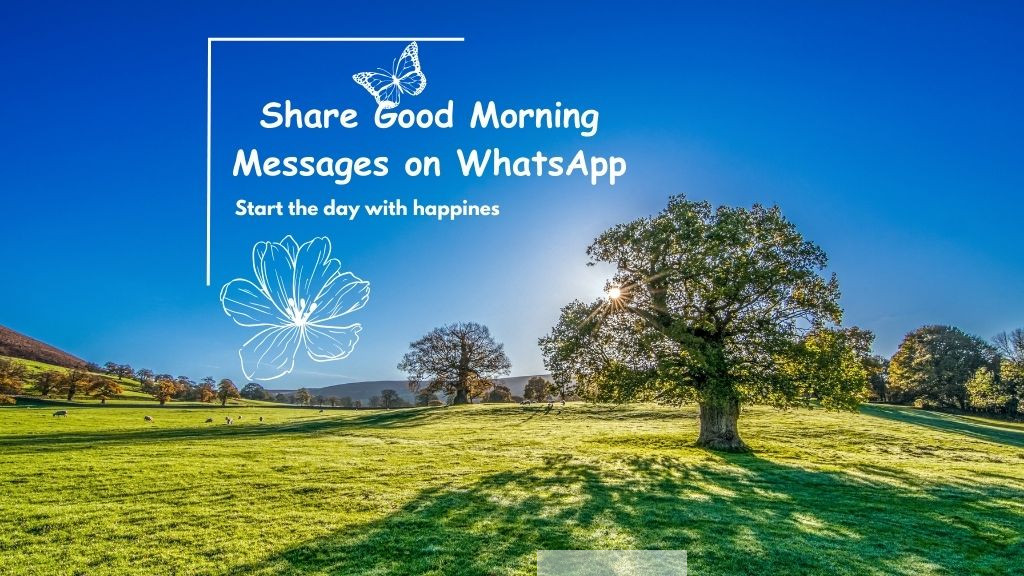Sharing Good Morning Messages on WhatsApp