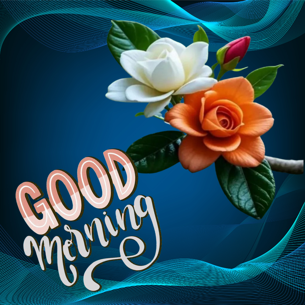 White and orange flowers with Good Morning text on blue background