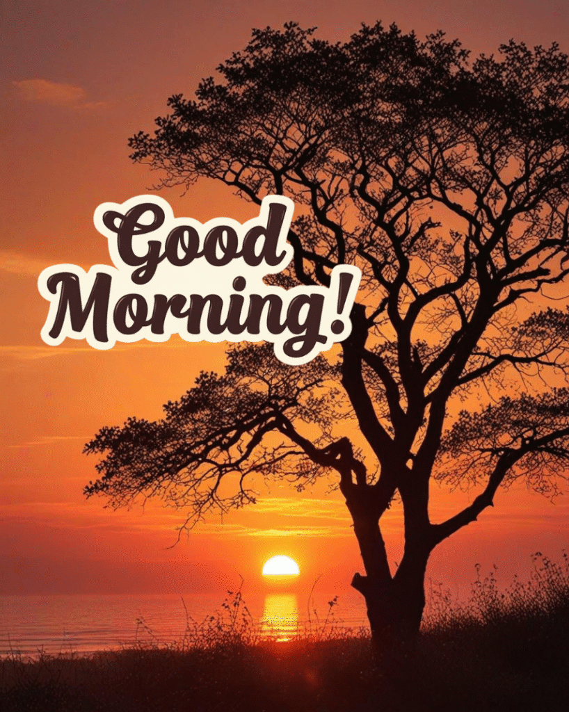 Good Morning Picture And Images Free Download