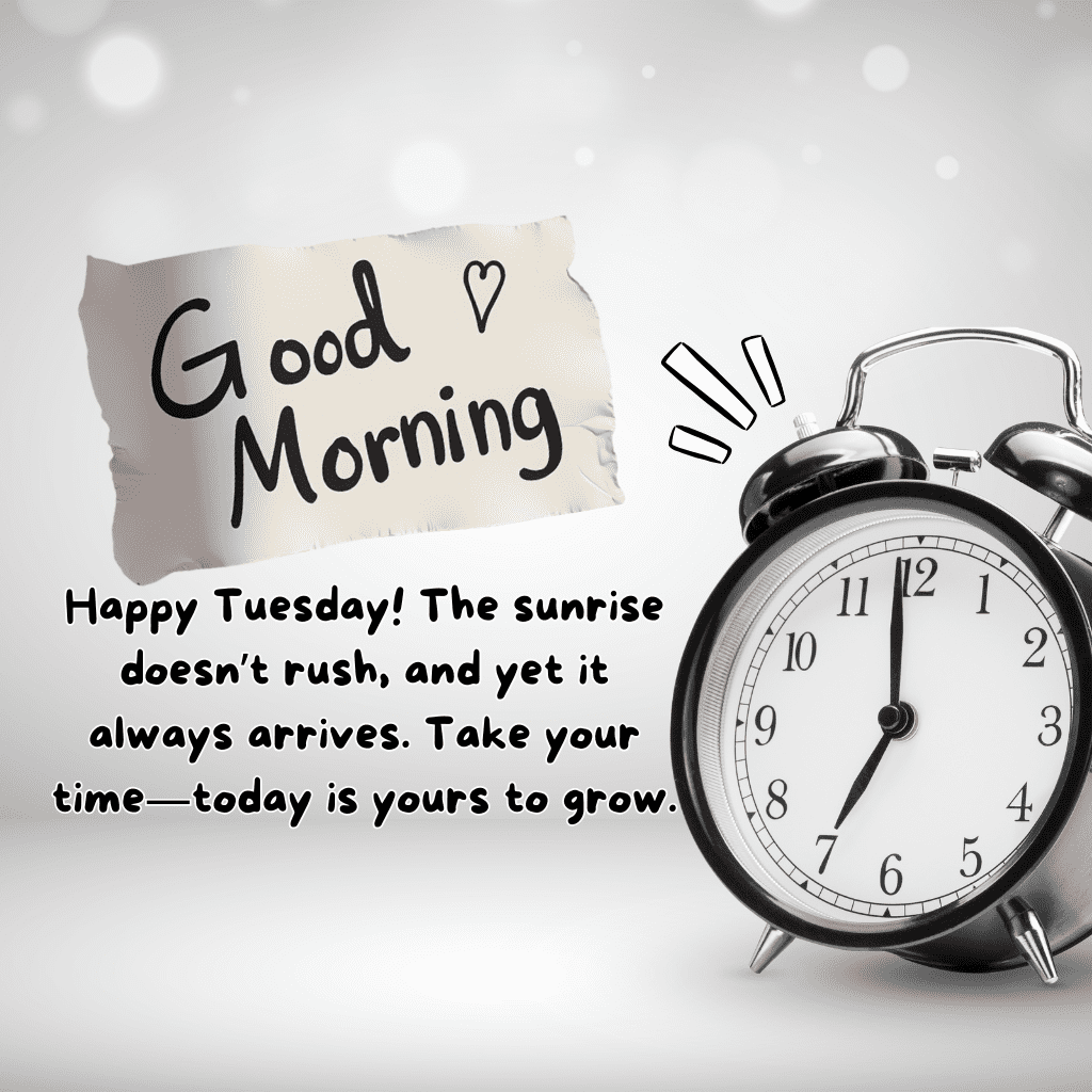 good morning happy tuesday quotes and images