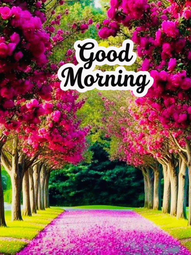 Spiritual & Positive Good Morning Images to Start