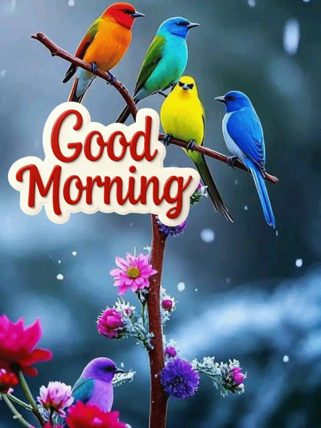 Wake Up With Nature: Breathtaking Good Morning Images to Start Fresh