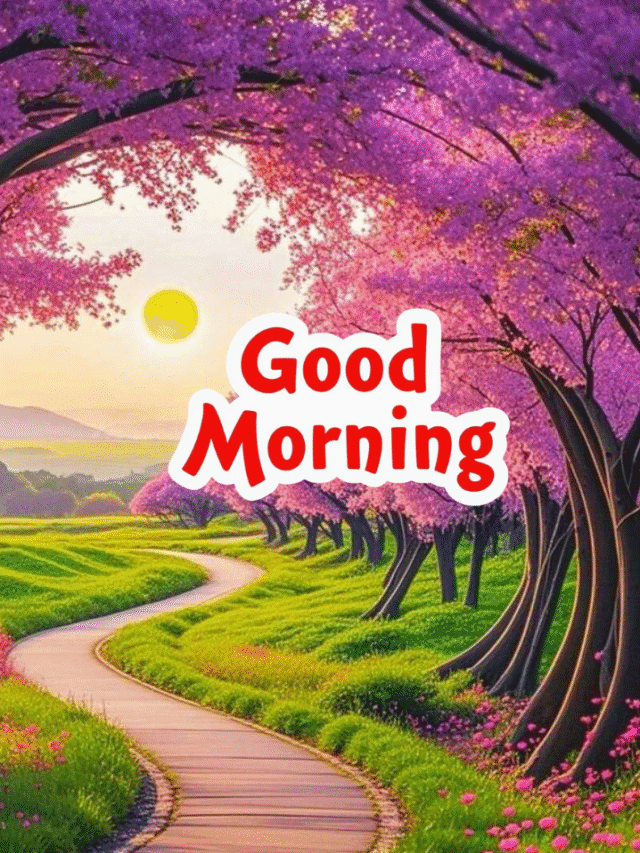 Peaceful Mornings in Nature: Beautiful Images to Share & Feel Calm